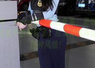 秀人网 – Nono酱的黑丝合集：是谁说穿上黑丝就不怕摔跤了，结果她却摔出了一百种风情！