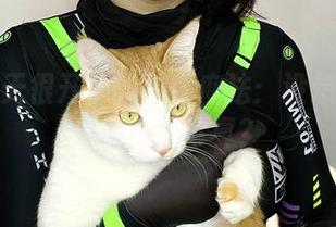 阿半今天很开心的炼金魔法：没想到莱莎也玩cos写真？